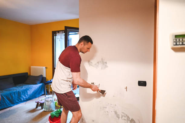 Best Black Mold Remediation in New Brighton, MN